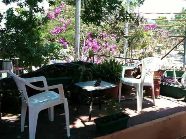 Mayan Hostel 坎昆 外观 照片