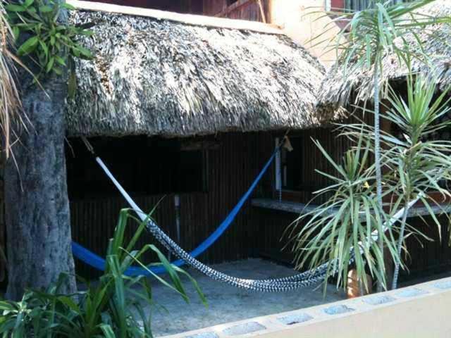 Mayan Hostel 坎昆 外观 照片