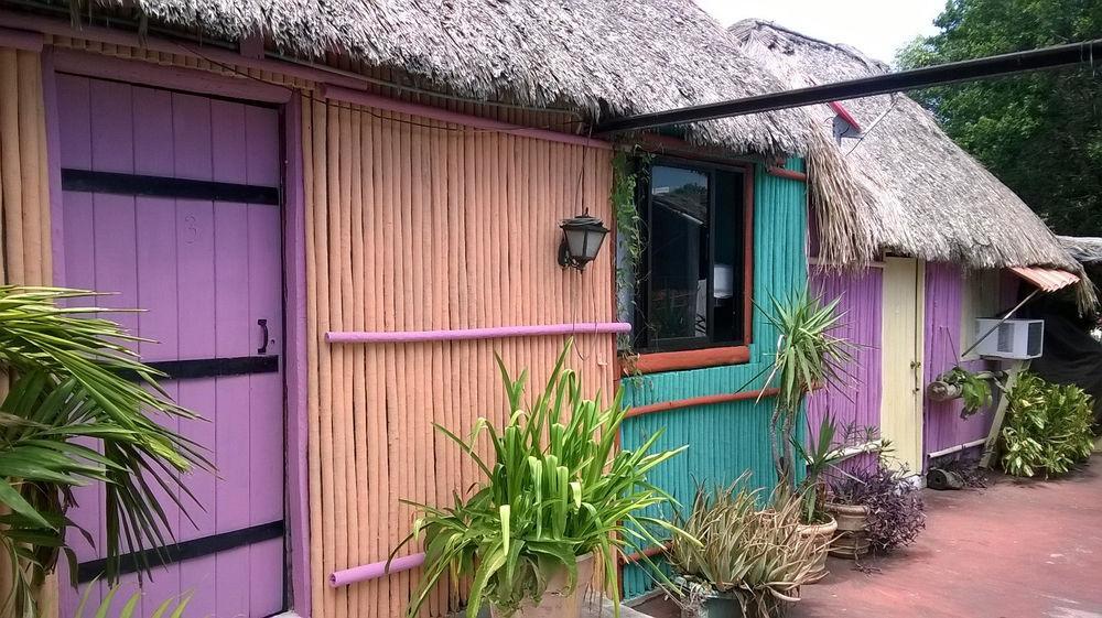 Mayan Hostel 坎昆 外观 照片