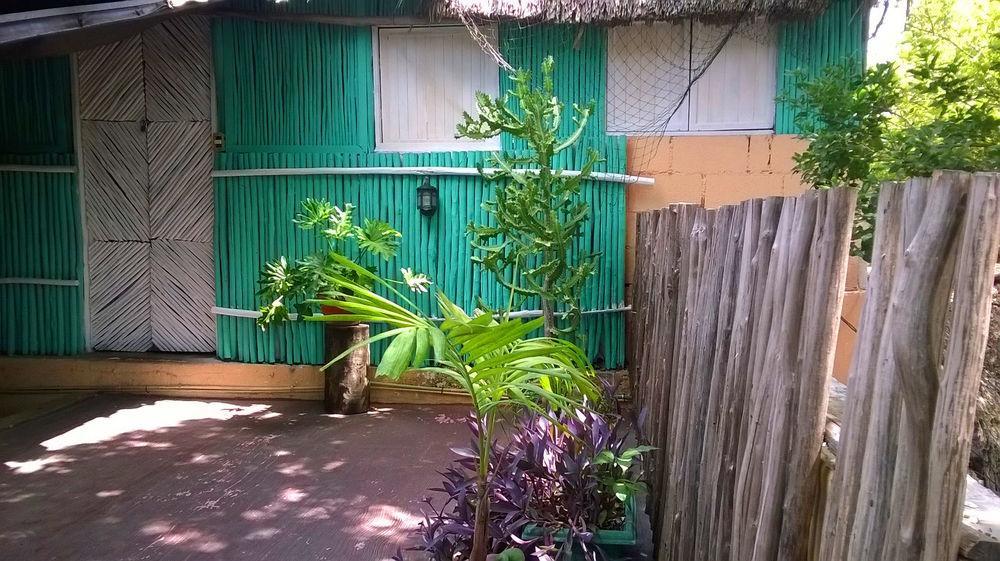 Mayan Hostel 坎昆 外观 照片