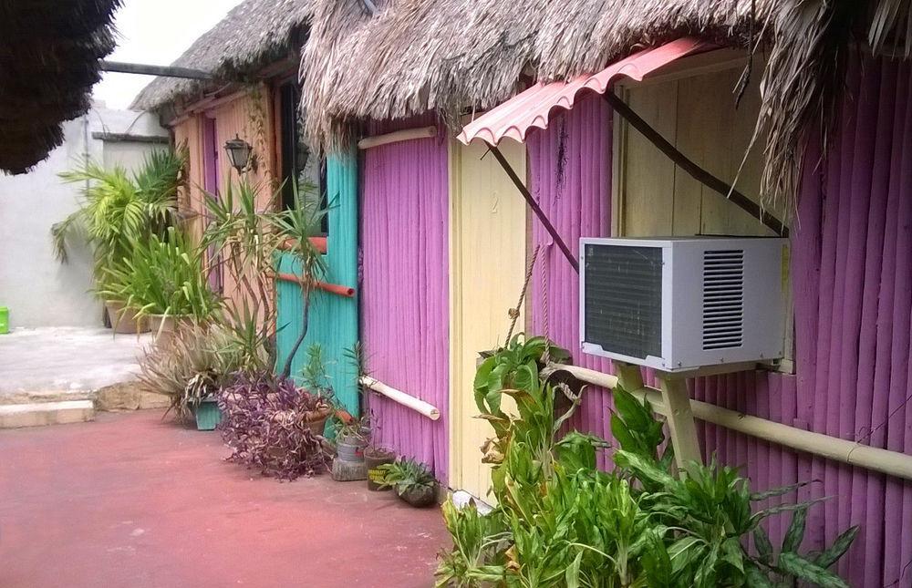 Mayan Hostel 坎昆 外观 照片