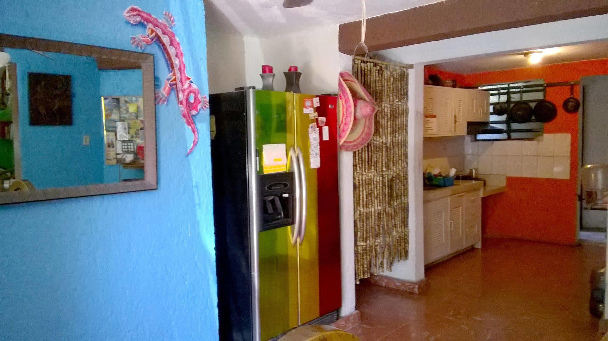Mayan Hostel 坎昆 外观 照片